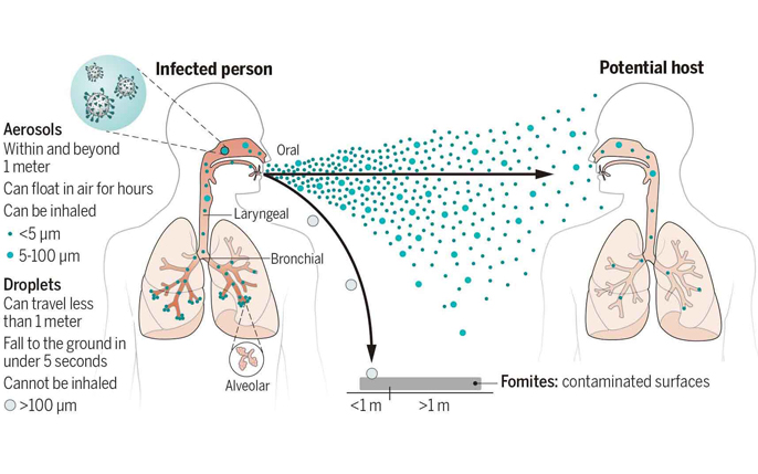 श्वसन तंत्र के वायरस और उनका प्रसार